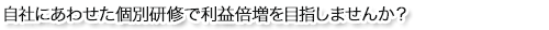 自社にあわせた個別研修で利益倍増を目指しませんか?